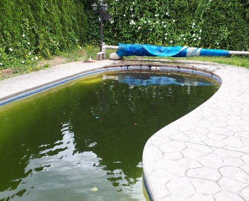Swimming Pool Gallery