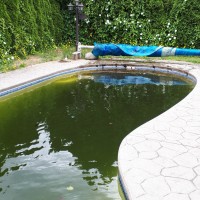 Swimming Pool Gallery