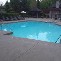 Swimming Pool Gallery