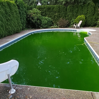 pool before and after