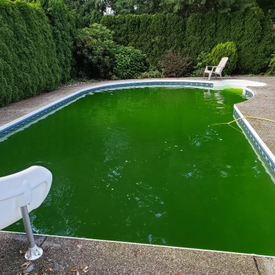 pool before and after